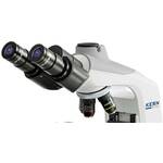 Kern OBE 134 mikroskop s prolaznim svjetlom trinokularni 1000 x iluminirano svjetlo