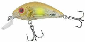 Salmo Rattlin' Hornet Shallow Floating Clear Ayu 3