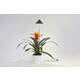 Venso SUNLiTE LED