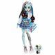 Monster High™ Lutka Frankie Stein s kućnim ljubimcem i dodacima - Mattel