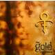 Prince - The Gold Experience (Reissue) (2 LP)