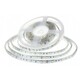 LED traka BIJELA, 60x5050 LED/m, samoljepiva, IP65, hladna bijela, 1 metar