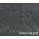 NIGHTFOX_AUDIO Nightfox Audio Grand Piano Suite (Digitalni proizvod)