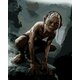 Zuty Slikanje po brojevima Gollum (Gospodar prstenova)