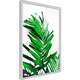 Poster - Emerald Palm 30x45