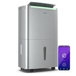 Klarstein DryFy Connect 50