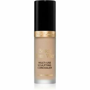 Too Faced Born This Way Super Coverage Multi-Use Concealer dugotrajni korektor za punu pokrivenost nijansa Porcelain 13