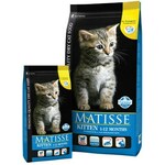 Matisse Kitten - 400 g