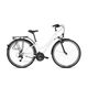 Kross Trans 1.0 bicikl, bijeli/crni/sivi
