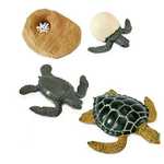 Safari Ltd. Životni ciklus - morska kornjača