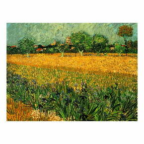 Reprodukcija slike Vincenta Van Gogha - View of arles with irises in the foreground