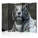 Paravan u 5 dijelova - Bengali tiger in zoo II [Room Dividers] 225x172