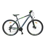 SPRING MTB bicikl Rapid 2942 29", sivo/zeleni