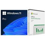 DSP Windows 11 Pro + Office H&B 2024 ENG, FQC-10528 + EP2-06631