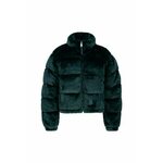 ALPHA INDUSTRIES Zimska jakna zelena / srebro