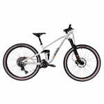 Capriolo MTB FS-ALL-MO 9.7 bicikl, sivi
