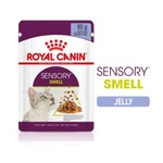 Royal Canin Sensory Smell - mokra hrana za mačke u želeu 12 x 85 g