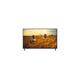 LG 43UK660H monitor, 43", HDMI, VGA (D-Sub), USB