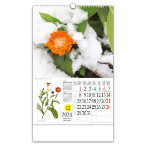 Kalendar “Ljekovito bilje” s rotacijskim krugom