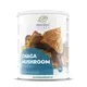 Chaga u prahu