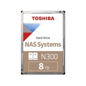 Toshiba N300