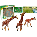 Giraffes Figurines Educational Family 3 pieces + Africa Background