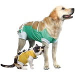 Kuna postoperativna odjeća - za ženske pse L - 44 cm