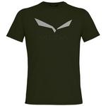 Muška majica Salewa Solidlogo Dri-Rel M S/S Tee Veličina: XXL / Boja: zelena/siva