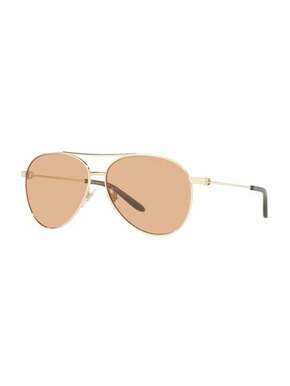 Ralph Lauren Sunčane naočale svijetlosmeđa / zlatna