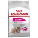 Royal Canin Mini Exigent - 2 x 3 kg