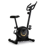 Zipro One S Gold sobni bicikl