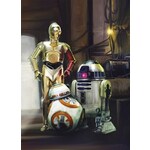 Foto tapeta Star Wars Three Droids 4-447