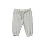 Dječji donji dio trenirke Calvin Klein Jeans siva IN0IN00330.9BYA