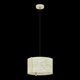 EGLO 390323 | Hontongas Eglo visilice svjetiljka 1x E27 crno, bezbojno
