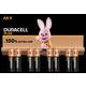 Duracell Plus-AA K8 mignon (AA) baterija alkalno-manganov 1.5 V 8 St.
