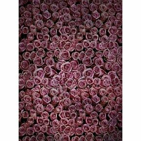 Click Props Background Vinyl with Print Roses Distressed Purple 1.52x2.44m studijska foto pozadina s grafikom