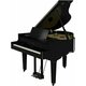 Roland GP-9M Polished Ebony Digitalni pianino