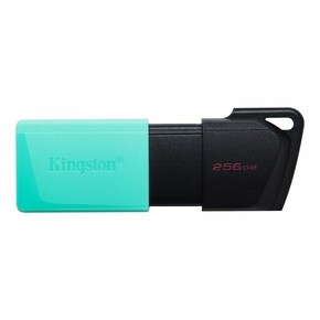 Kingston DataTraveler Exodia M DTXM/256GB 256GB USB memorija