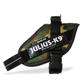 Julius-K9 IDC power