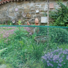 Nortene Mrežasta ograda Minisquare (5 x 0