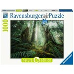 Puzzles 1000 elements Forests