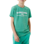Majica za dječake Björn Borg Sthlm T-Shirt - winter green