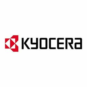Kyocera DK 3190(E) - drum kit - 302T693031