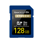 TeamGroup SDXC 128GB memorijska kartica