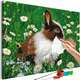 Slika za samostalno slikanje - Rabbit in the Meadow 60x40