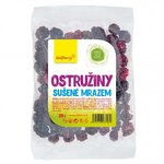Wolfberry Liofilizirane kupine 20 g