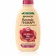 Garnier Botanic Therapy Ricinus Oil &amp; Almond šampon za krhku kosu za oslabljenu kosu 400 ml za žene