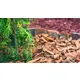 Biolife dekorativna mulch kora smeđa 70 l