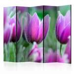 Paravan u 5 dijelova - Purple spring tulips II [Room Dividers] 225x172