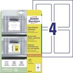 Avery-Zweckform 8001-20 naljepnice za nositelje 120 x 80 mm polipropilen bijela, svijetlosiva 80 St. trajno prianjanje